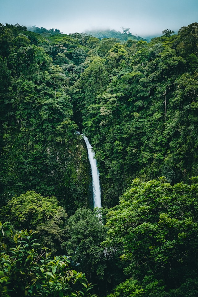 Costa Rica tour guide