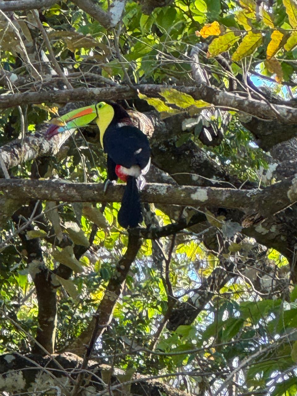 Birdwatching Tour