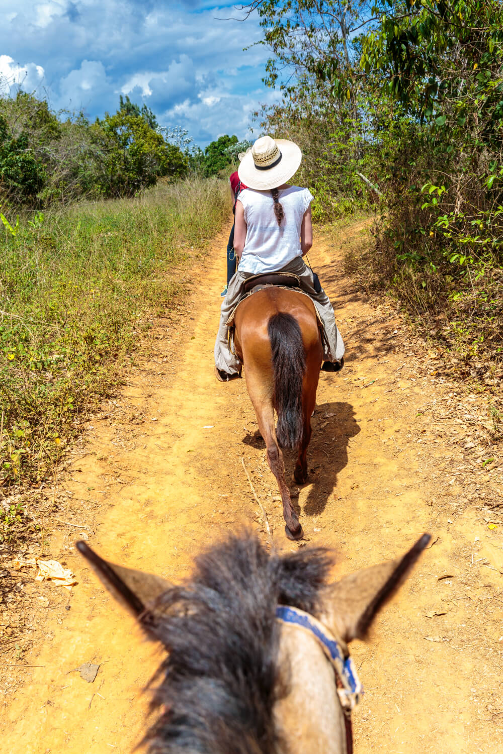 Eco Adventure 12-in-1 · Rincón de la Vieja