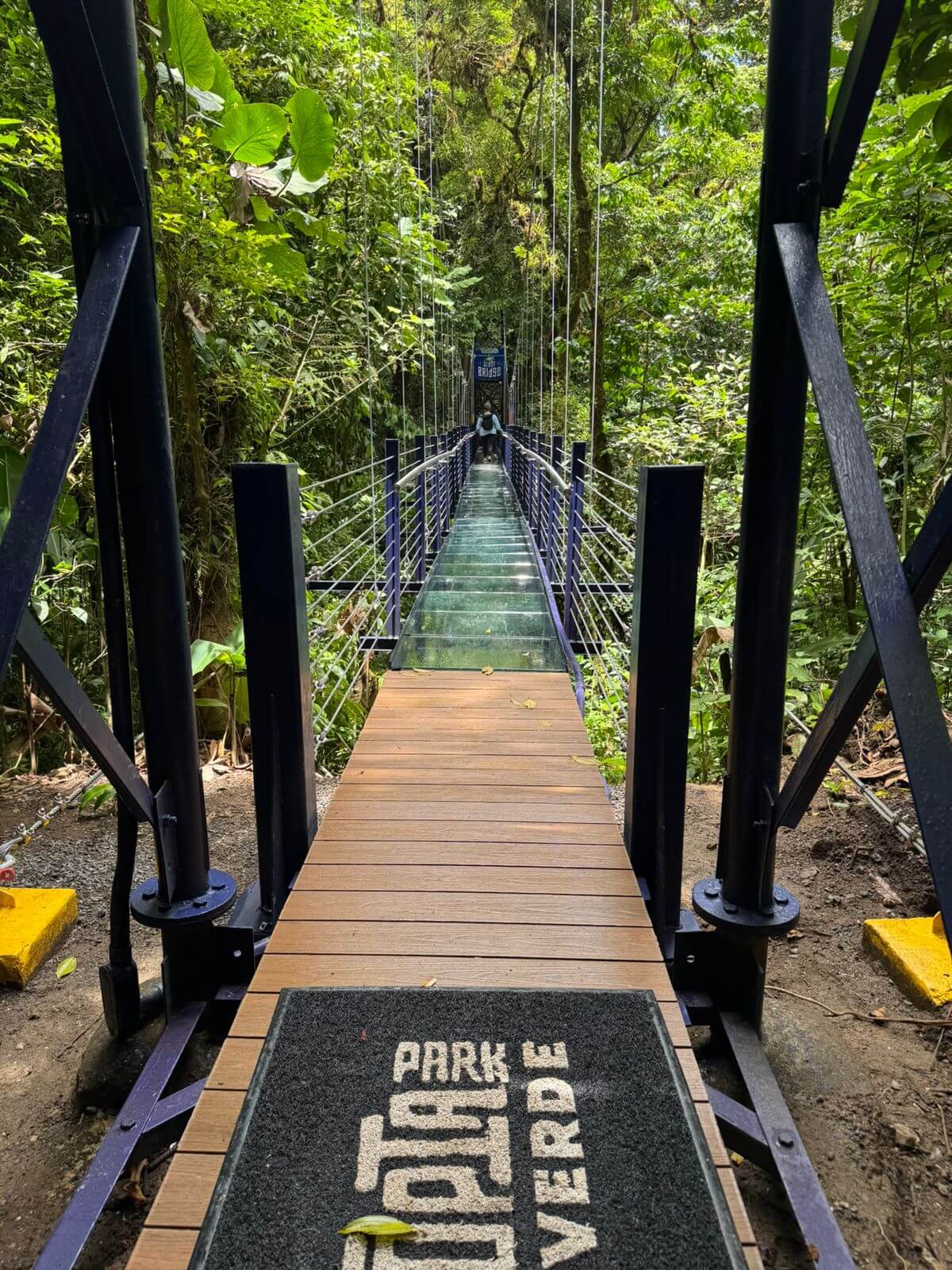 Monteverde Cloud Forest