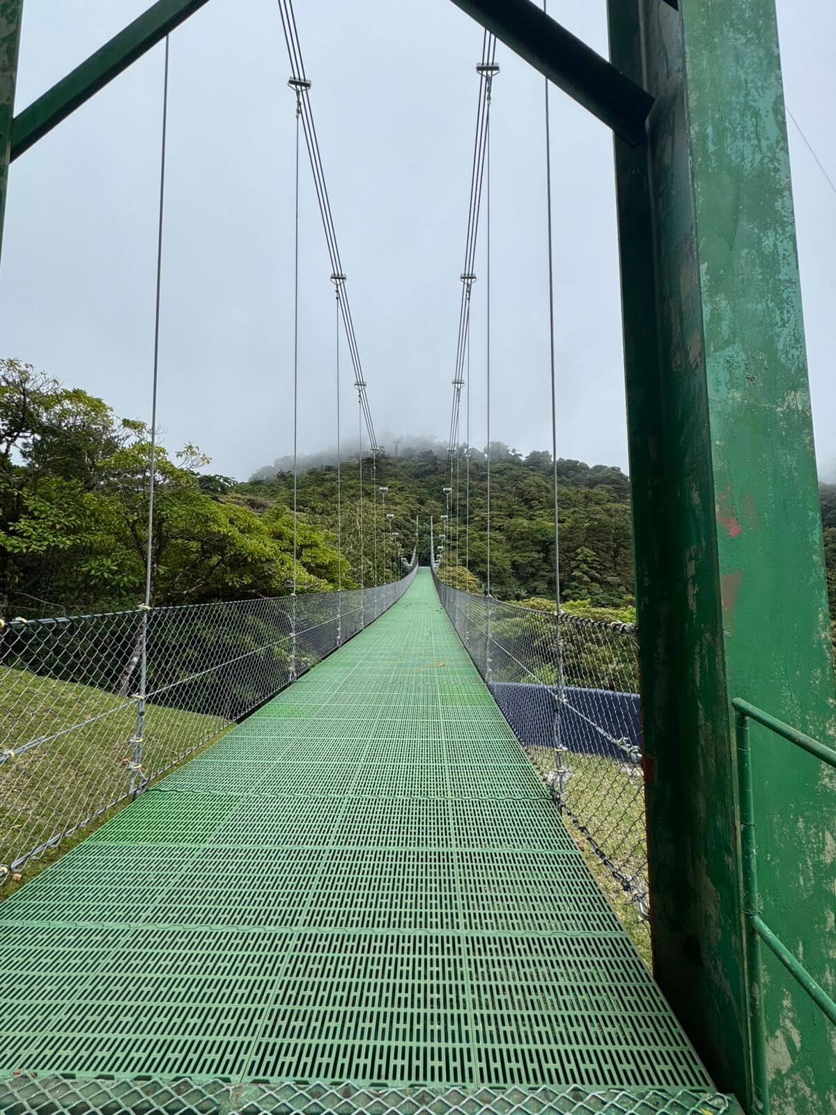 Monteverde Cloud Forest