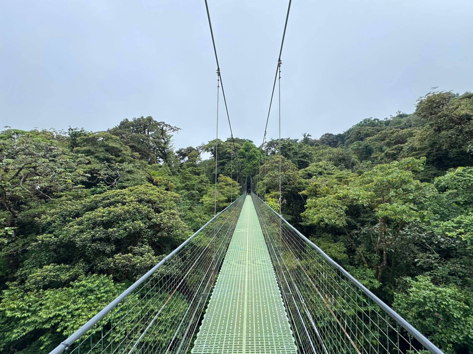 Monteverde Cloud Forest