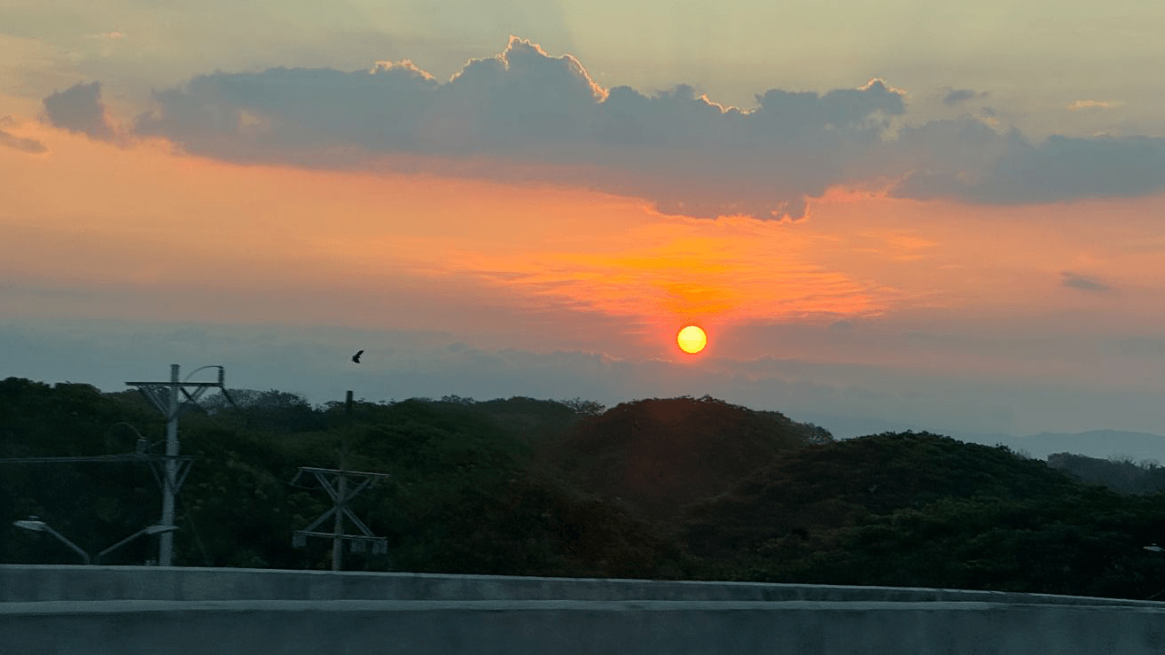 Landscapes