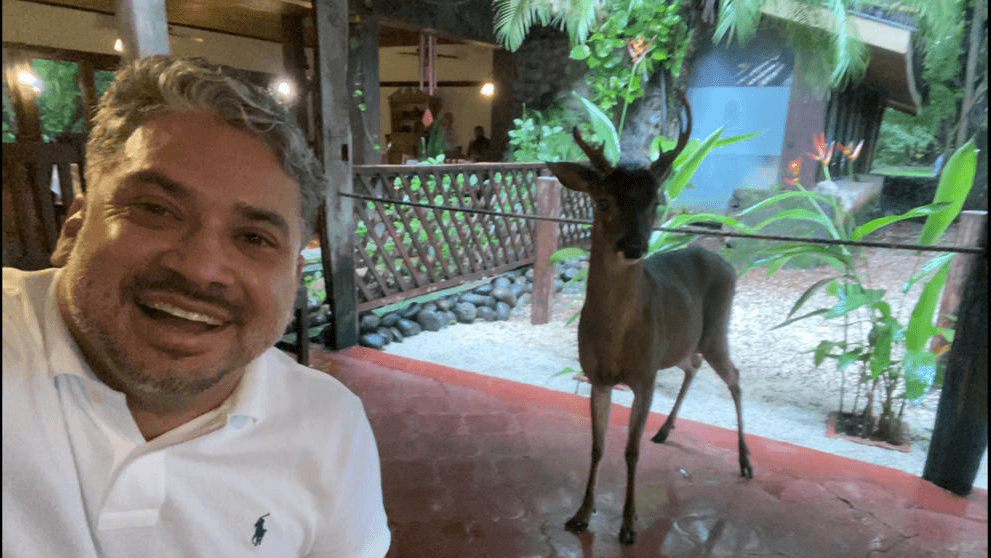 Wildlife